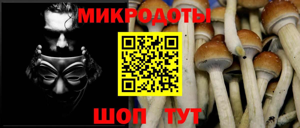 Галлюциногенные грибы мицелий  купить наркотик  Псилоцибиновые грибы GOLDEN TEACHER  Балашиха  Вход с VPN 